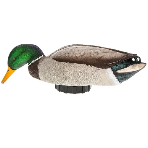 bandwtackle-113072