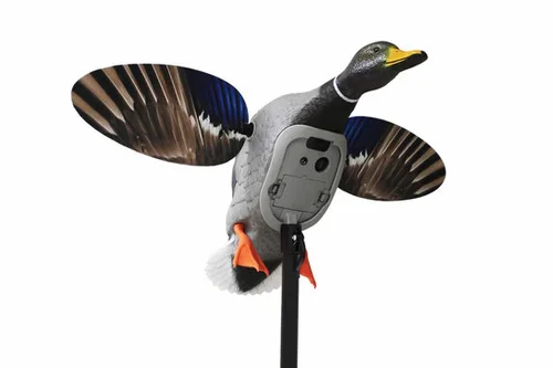 bandwtackle-113628