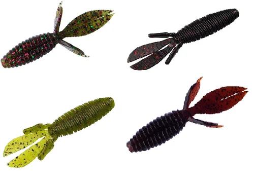 bandwtackle-92019