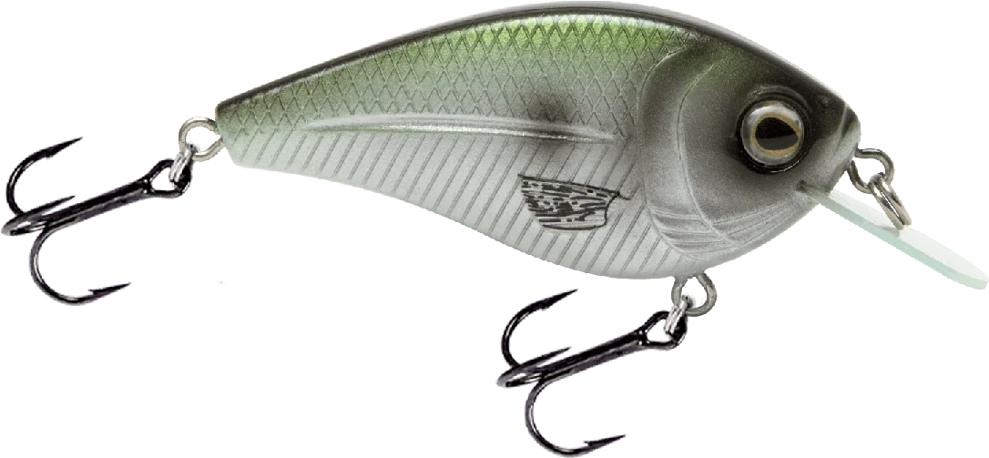 monsterbass10207