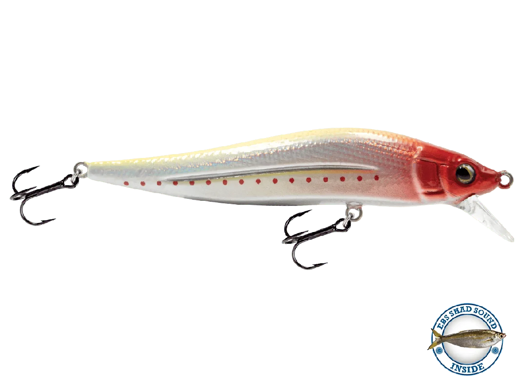 monsterbass10572
