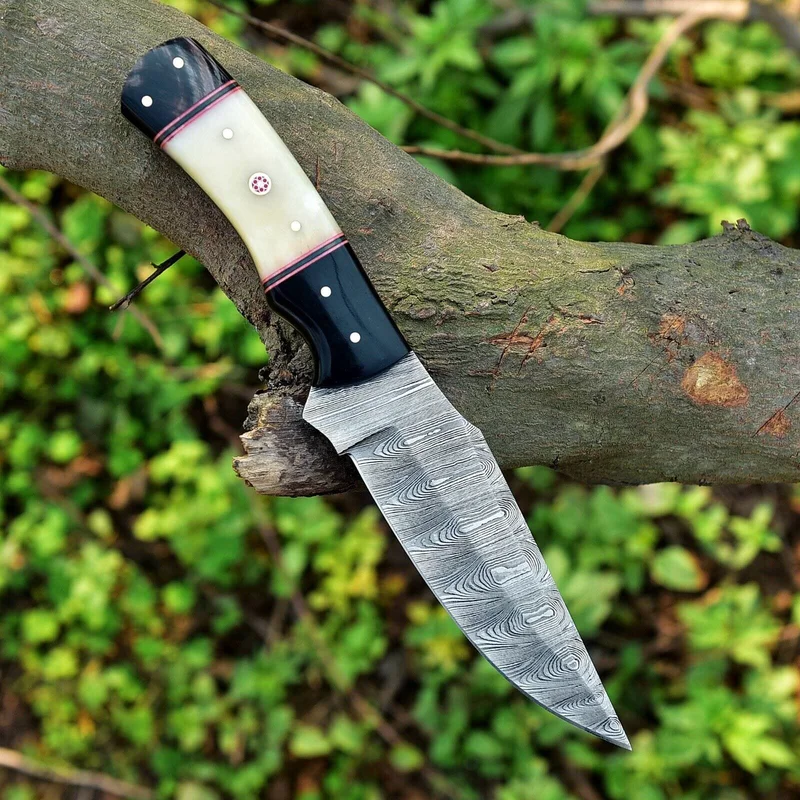 monsterbass15895