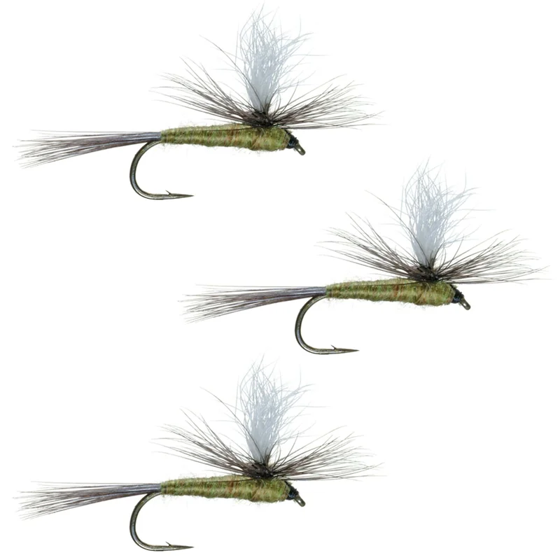 monsterbass34849