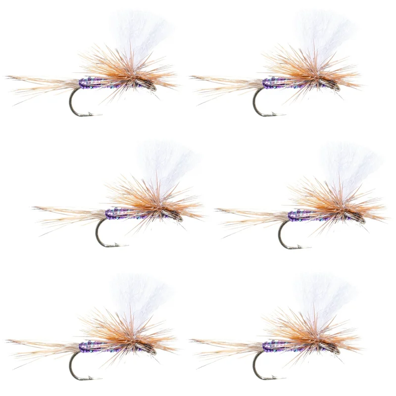 monsterbass35641