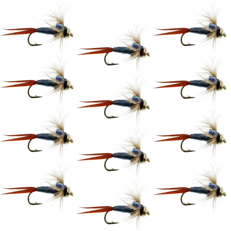 monsterbass36261