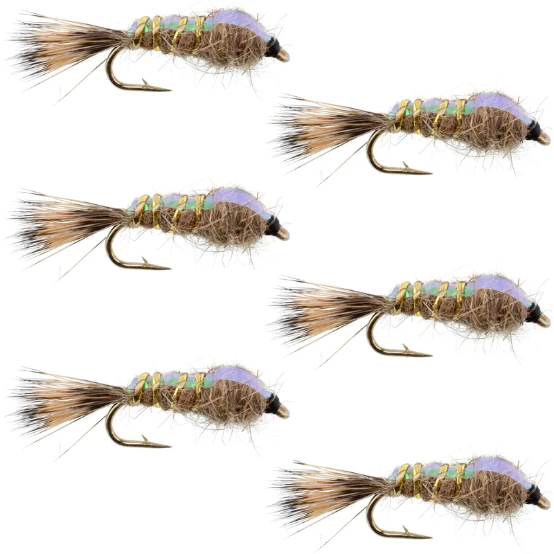 monsterbass39165