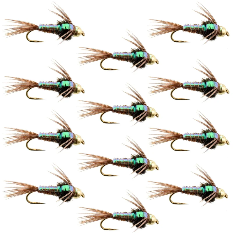 monsterbass40430