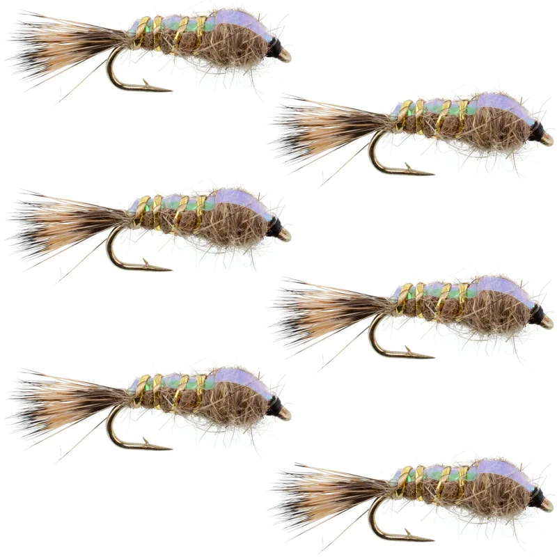 monsterbass44034