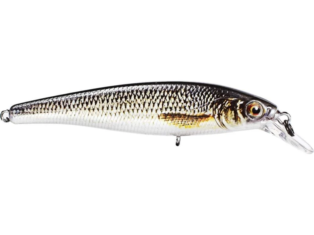 monsterbass66