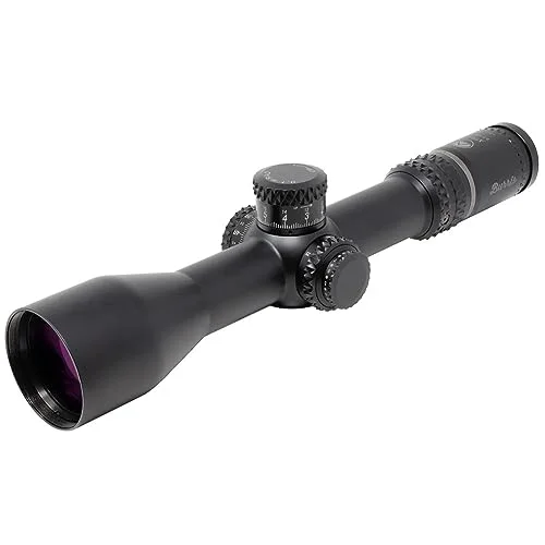 peachfrog-66379