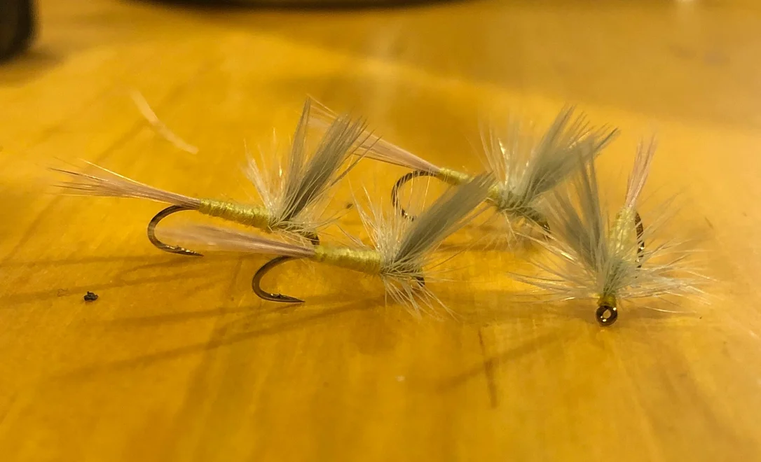 shopdownwindsports643