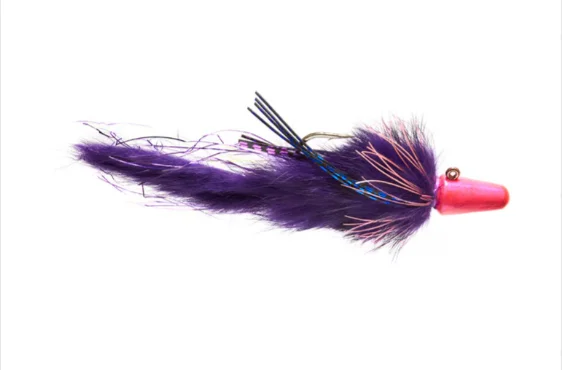 sportco-167694