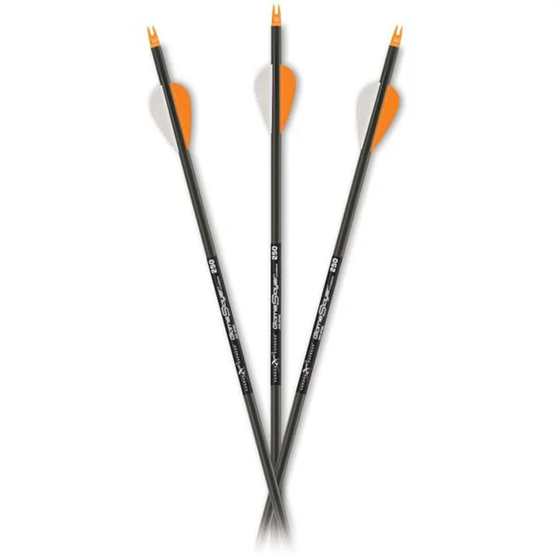 sportco-170454