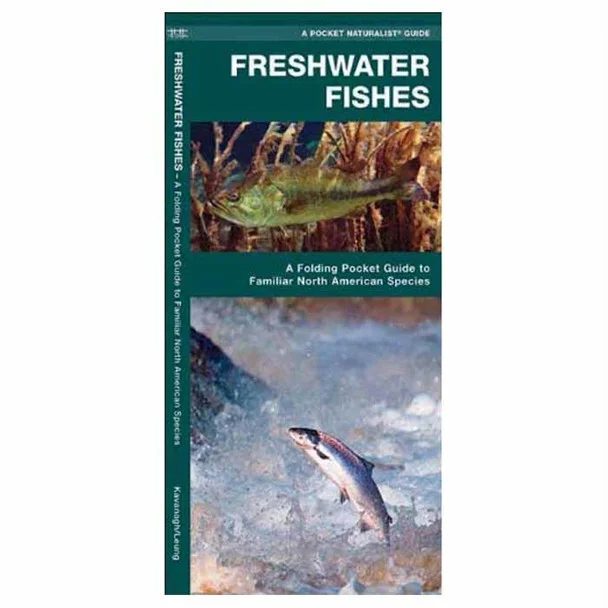 theoutdoorwarehouse1-120508