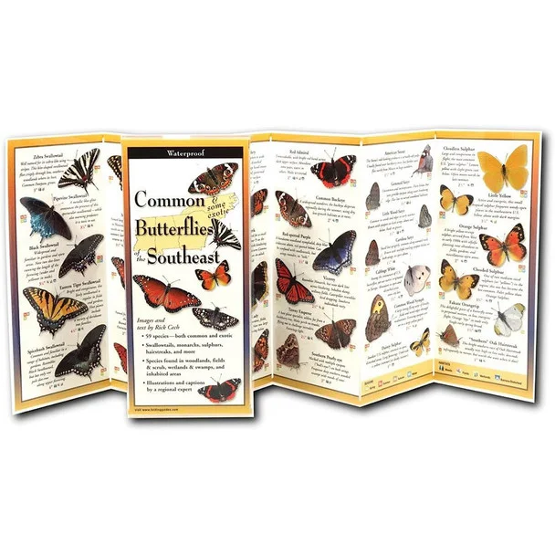 theoutdoorwarehouse1-178094