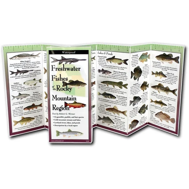 theoutdoorwarehouse1-178331