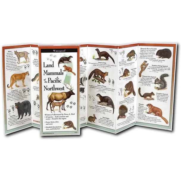 theoutdoorwarehouse1-179329
