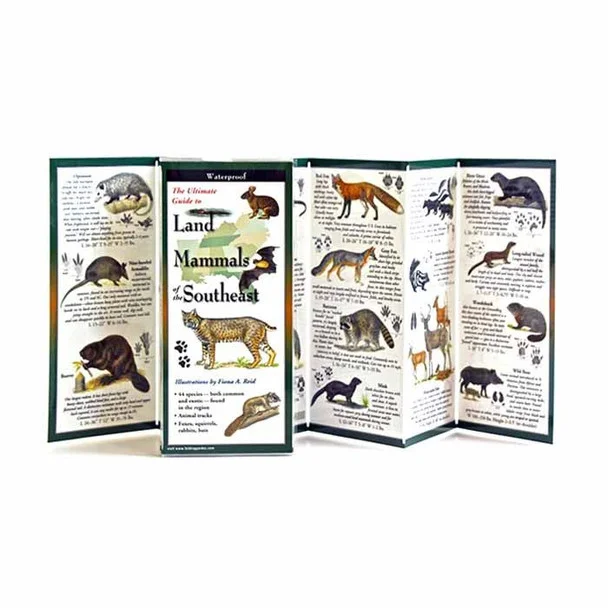 theoutdoorwarehouse1-190402
