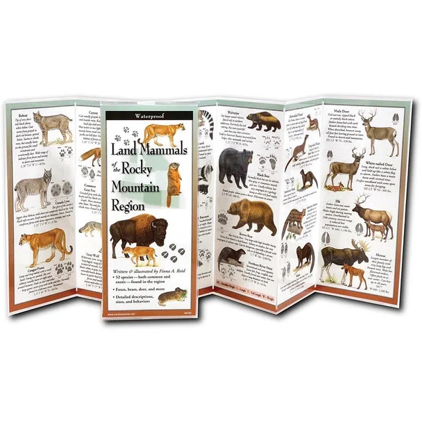 theoutdoorwarehouse1-76795