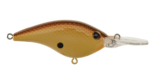 theoutdoorwarehouse2-111677