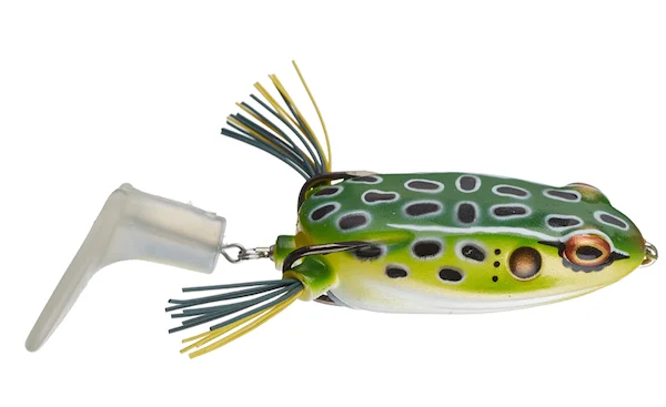 theoutdoorwarehouse2-116028