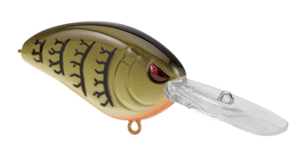 theoutdoorwarehouse2-124231