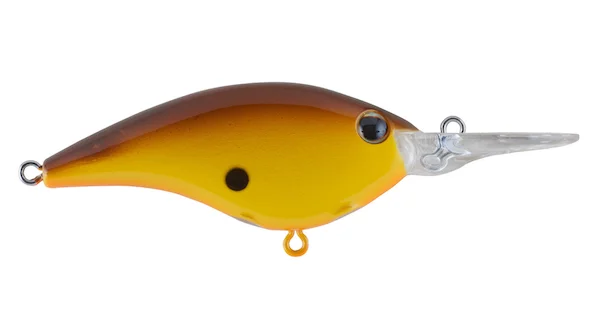 theoutdoorwarehouse2-125139