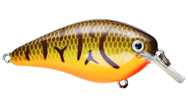 theoutdoorwarehouse2-138659