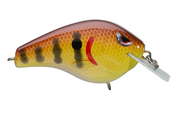 theoutdoorwarehouse2-143634