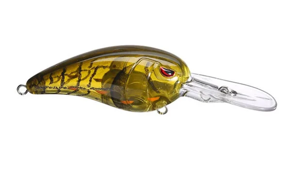 theoutdoorwarehouse2-149460