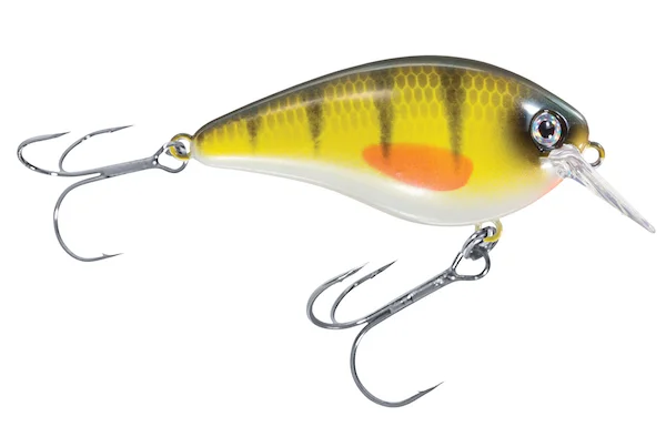 theoutdoorwarehouse2-149525