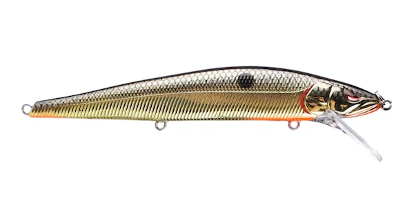 theoutdoorwarehouse2-158404