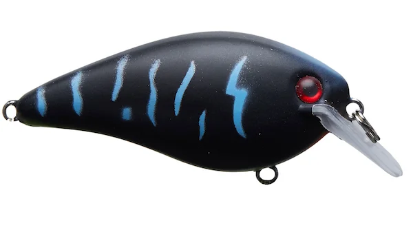 theoutdoorwarehouse2-158648