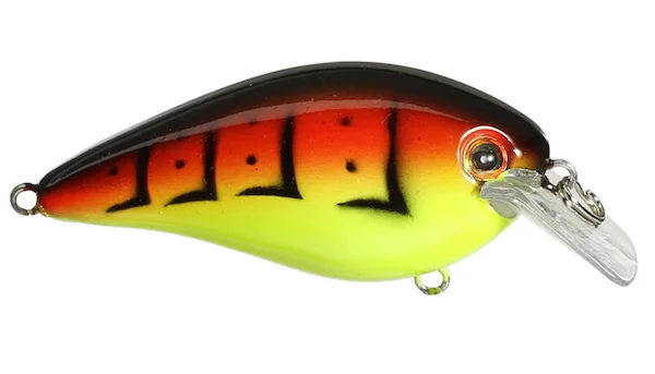 theoutdoorwarehouse2-162620