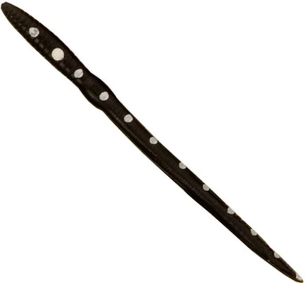 theoutdoorwarehouse2-164780