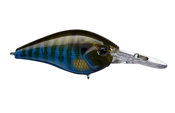 theoutdoorwarehouse2-171739