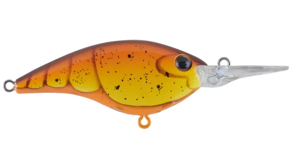 theoutdoorwarehouse2-174198