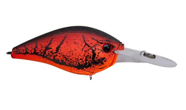 theoutdoorwarehouse2-181344
