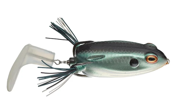 theoutdoorwarehouse2-182782
