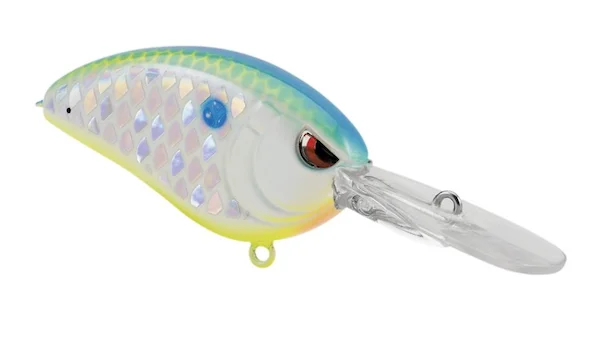 theoutdoorwarehouse2-186025