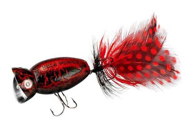 theoutdoorwarehouse2-194919