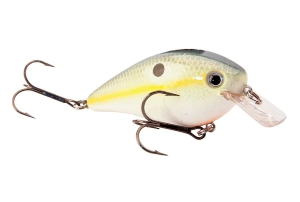 theoutdoorwarehouse2-198639