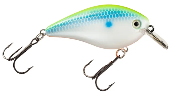 theoutdoorwarehouse2-200245