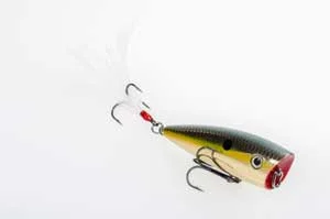 theoutdoorwarehouse2-206448