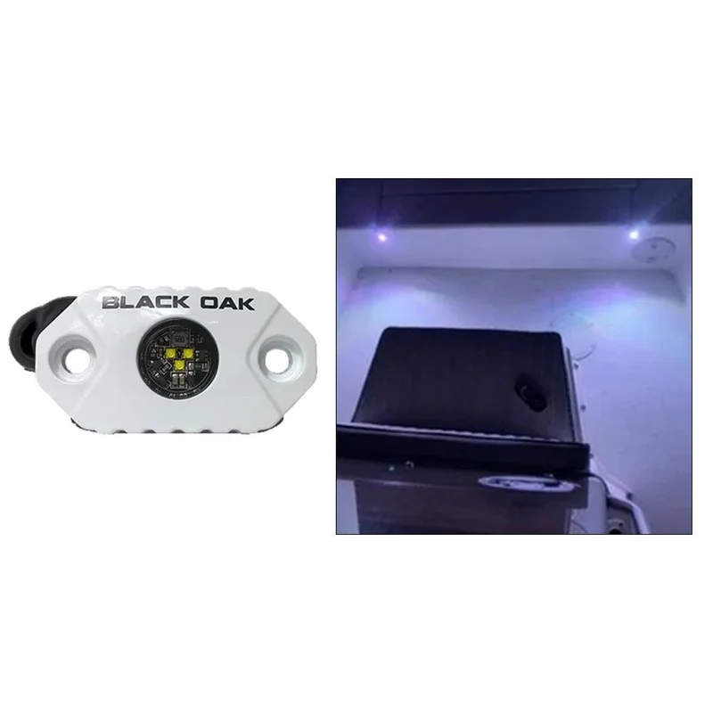 trapski224966