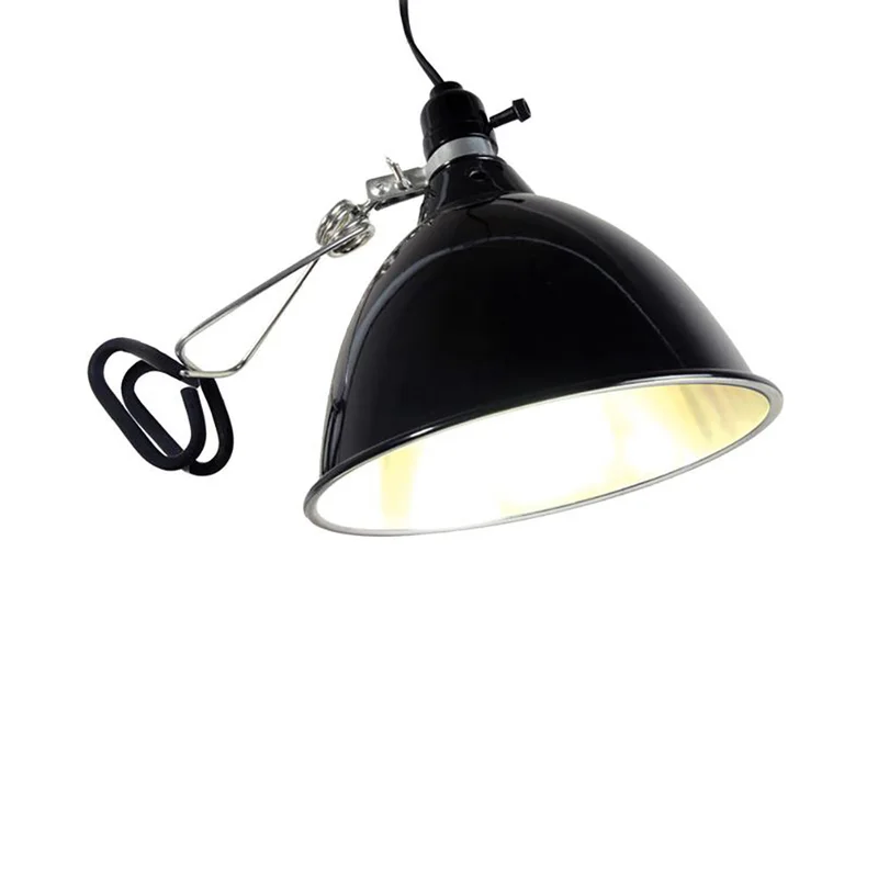 trapski3175099