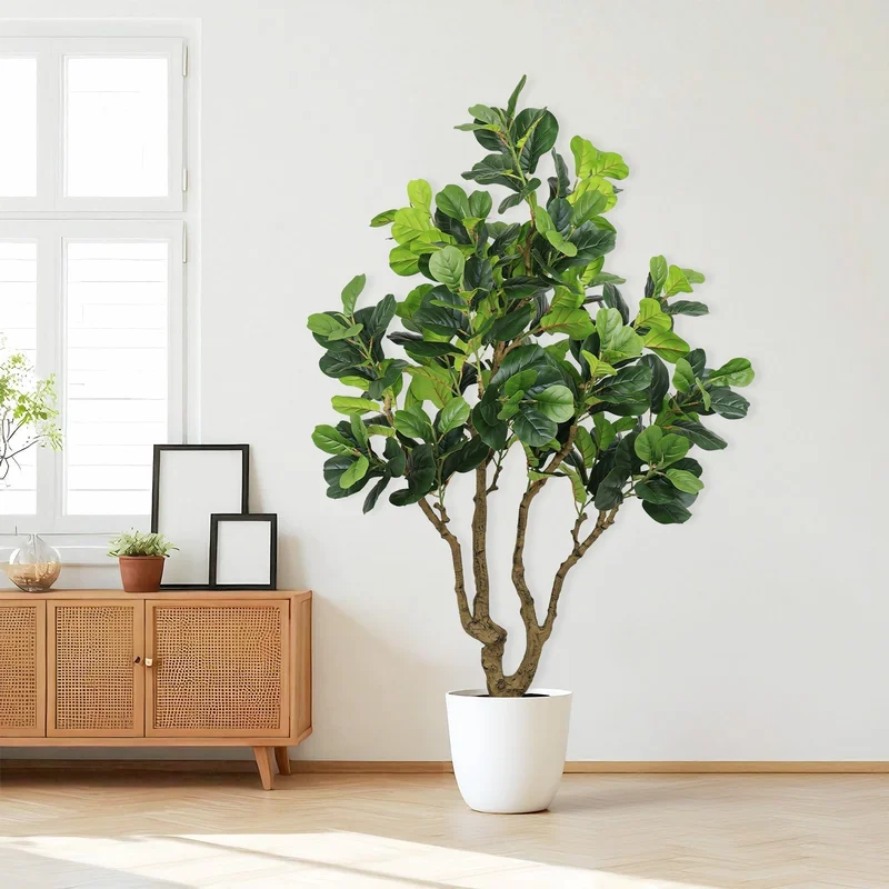 trapski4247948