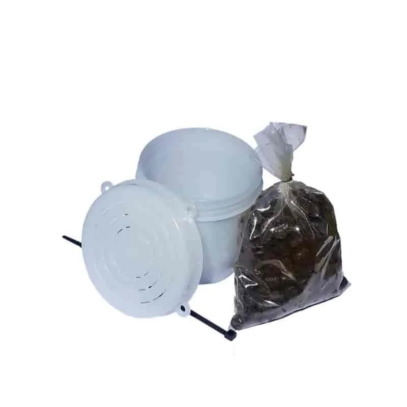 willapaoutdoor649